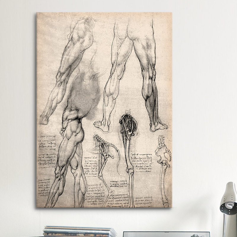 «S Carnets de croquis de jambes» par Leonardo Da Vinci, impression sur toile tendue, H 12 po x l 8 po x P 0,75 po