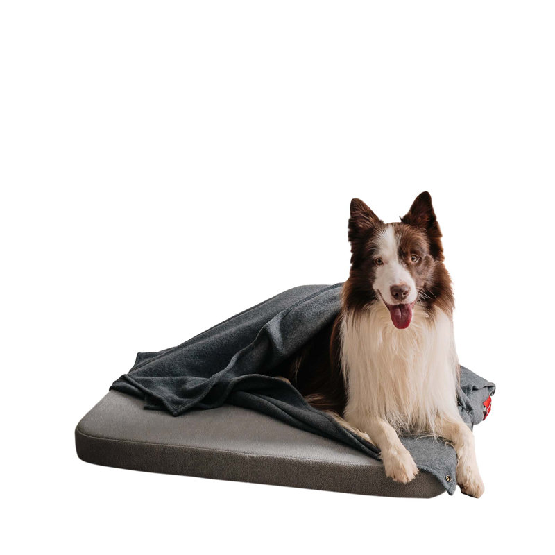 Orthopedic Microfibre Pet Bed, Light Grey, Medium (80cm W x 60cm D)
