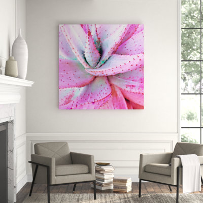 Pink Aloe Print