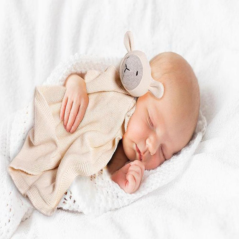 Plain Weave / Muslin Throw Blanket