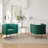 Cristen Velvet Barrel Chair-750741507-777911766