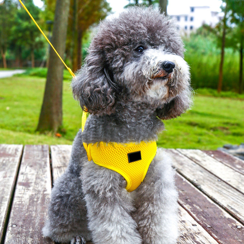 Harnais pour chien Pet Leash, Jaune