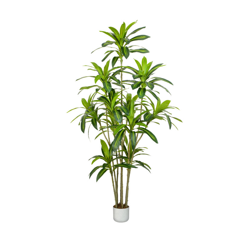 Anjely Faux Agave Plant, 200cm H  x 30cm W  x 30cm D