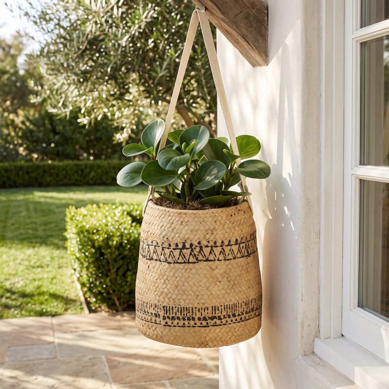 Eralia Cement Pot Planter, 7.1" H x 6.5" W x 6.5" D