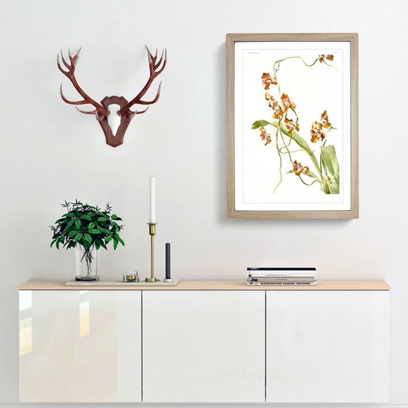 Magnolia Flowers Illustration Tab. 60 by Frederick Sander - Picture Frame Painting Print, 91cm H x 60cm W x 2cm D, Oak