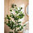 Artificial Bay Tree Green Plant Pot