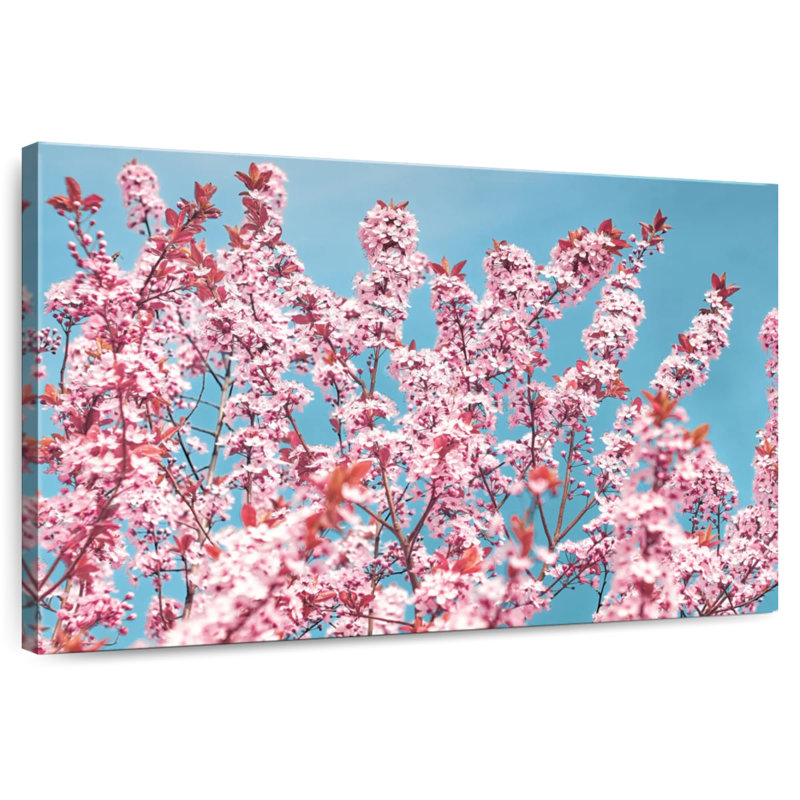 Harnek superbe fleur de cerisier au Japon, H 16 po x l 24 po