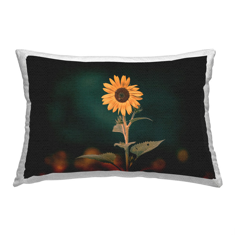 Coussin d'extérieur Country Country