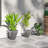 Kise Pot Planter-323524642-322665829