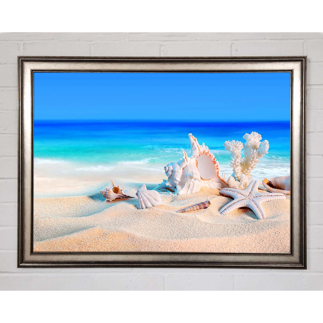 Gerahmtes Bild Perfect Ocean Shells