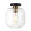 Veedersburg Glass Semi Flush Mount