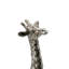 Girafe debout Winscott