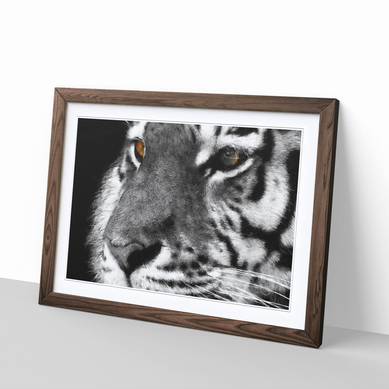 Eyes of the Tiger - Picture Frame Graphic Art Print, 62cm H x 87cm W x 2cm D, Walnut Framed