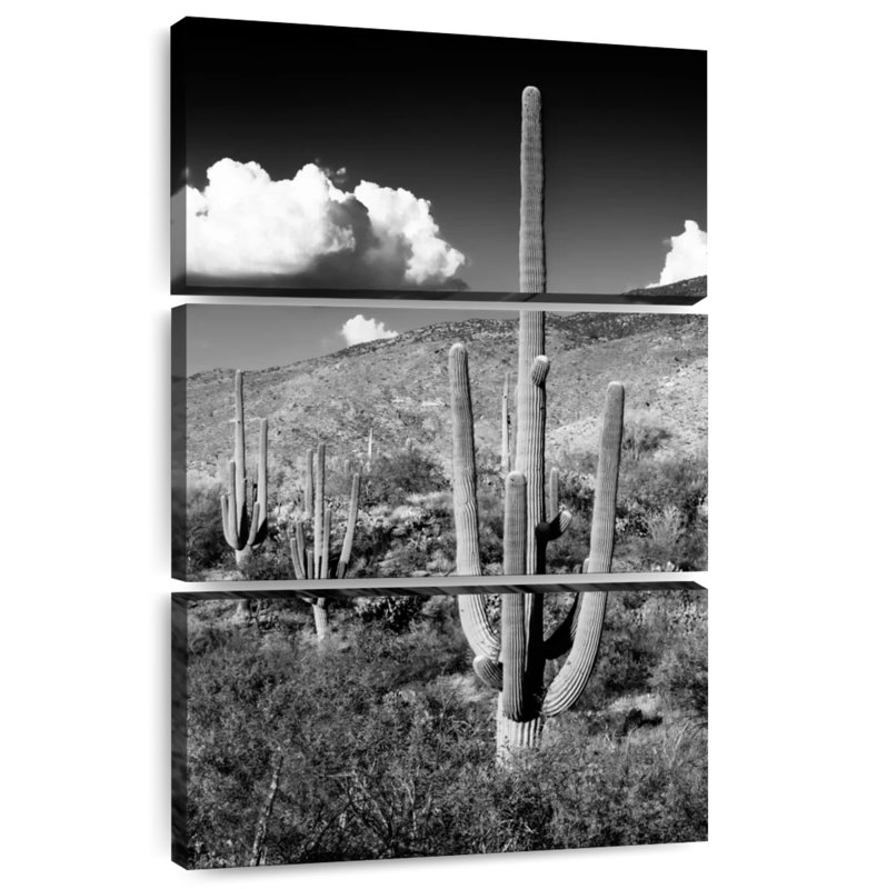 Harnek Black Arizona - Saguaro Cactus Valley, 74" H x 48" W
