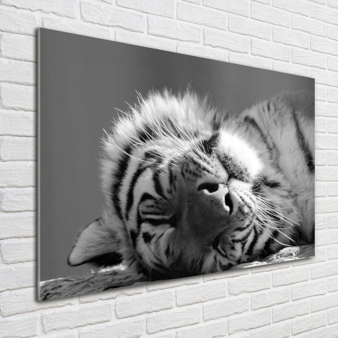 Glasbild Sleepy Tiger