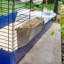Rabbit Cage