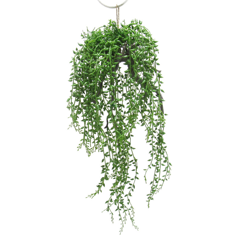 Plante grasse artificielle suspendue 20,5 po Donkeytail