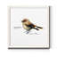 Mixed signaux I-reproduction de photo sur toile encadrée-1481400221-1481400220