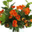 Ranunculus Arrangement in Glass Vase