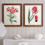 Roseat Blooms I - ensemble de 2 peintures encadrées-2117310012-2117151359-2117151347