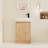 23" Freestanding Single Bathroom Vanity with Ceramic Top，Floor Standing Vanity with 2 Soft Close Doors and 1 Adjustable Shelf-384148737