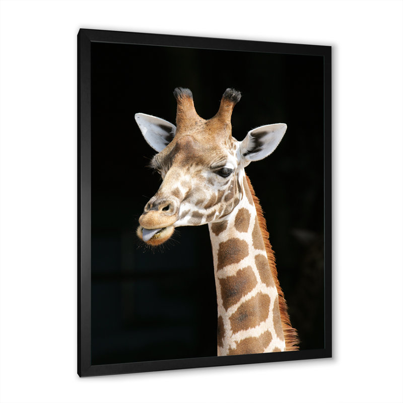 Gros plan sur une girafe III - photographie sur toile, H 40 po x l 30 po x 1,5 po, Cadre noir
