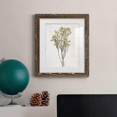 Farmhouse Pressed Flower II - peinture encadrée