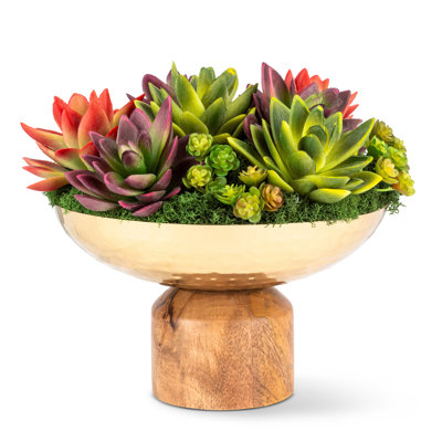 Arrangement de piédestal en bois Timeless Living