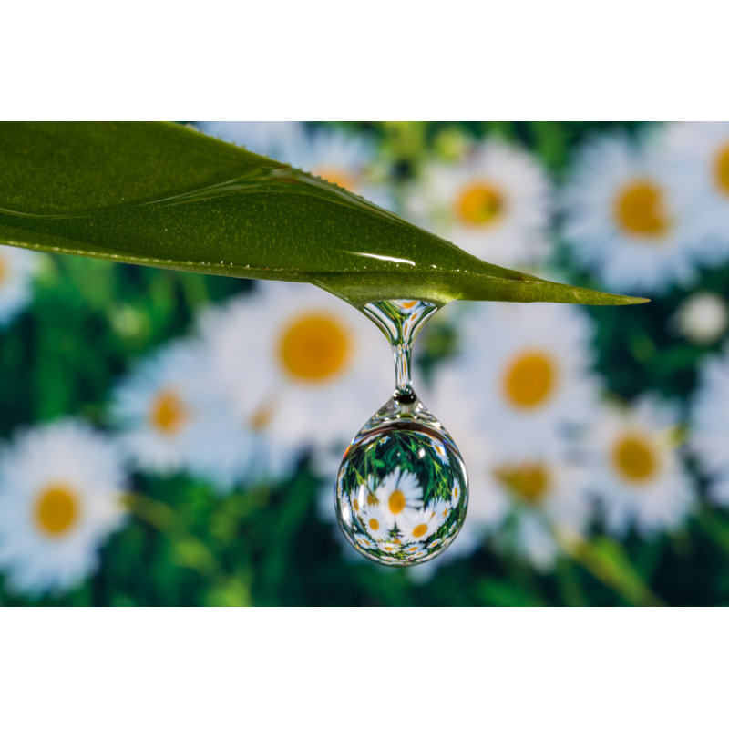 Water Droplets - Wrapped Canvas Print, 30cm H x 46cm W