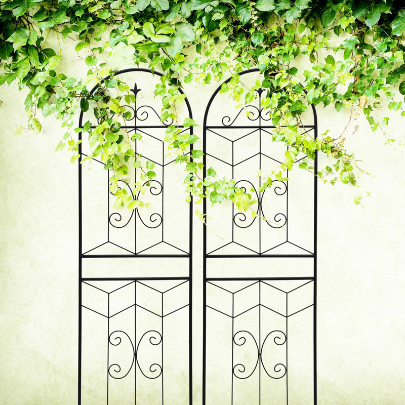 Metal Garden Trellis 71" X 19.7"  2 Packs , Rustproof Outdoor Plant Rack, Black, Easy To Assemble, With Powder Coating, Multiple Applications For Climbing Veggies 2 Pack, Rust- Holder, Galvanized