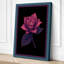 Lotus in Magenta Botanical - Wrapped Canvas-211344631-211344621