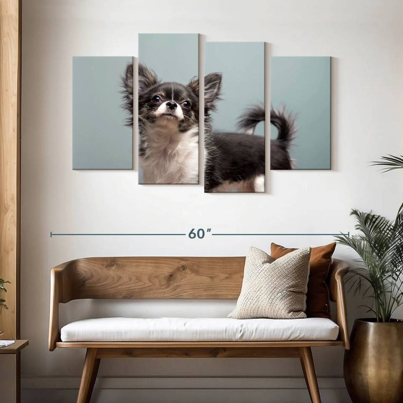 Brampt Long Haired Chihuahua, 32" H x 52" W