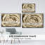 Neutral Wall Flower IV, reproduction d'art sur toile encadrée-94357707-94357708