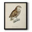 French Owls I - Toile encadrée de qualité supérieure - prête à être accrochée-1607820571-1607820570