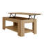 Adrianne Lift Top Four Leg Coffee Table with Storage-20638065