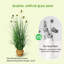 Herbe artificielle avec 9 fleurs d'échinacée réalistes