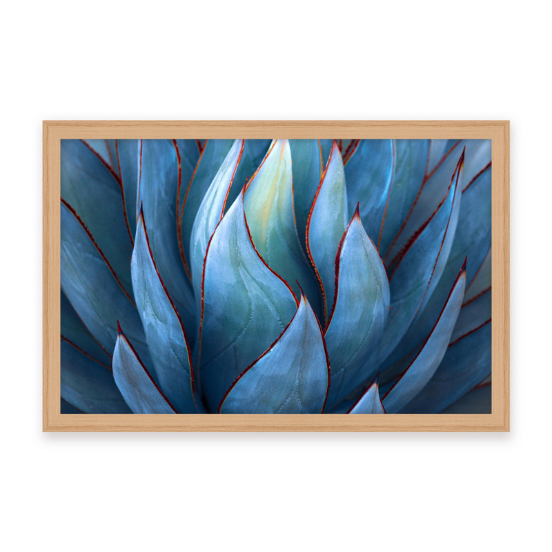 Nature Inspired Blue Agave Abstract by  - Picture Frame Graphic Art on Paper, 24" H x 36" W x 2.375" D, Framed Canvas, Beige