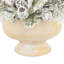 Evergreen Centerpiece with Pinecones