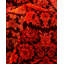 Vibrance One-of-a-Kind 6' 2" X 9' 2" Hand Knotted Area Rug