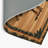 Dinosaurs Brown Indoor and Outdoor Area Rug-1441279583