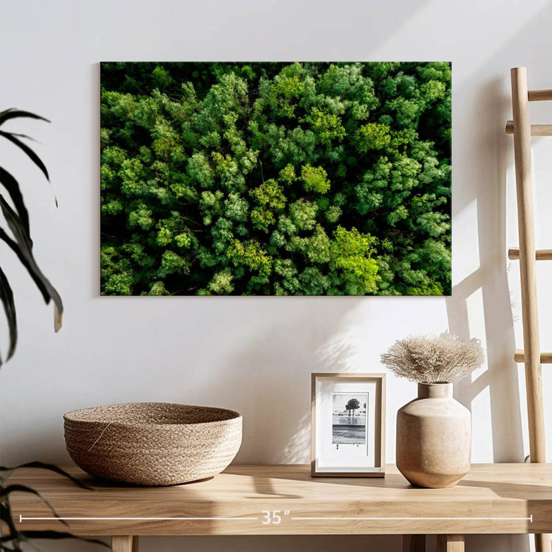 Forêt luxuriante, H 16 po x l 24 po
