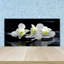 Lizzi 50cm W x 100cm L Glass Peel and Stick Panel