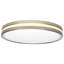 Meschelle Flush Mount with Night Light 5 CCT Selectable