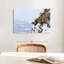 Mouflon d'hiver Brampt-106821447