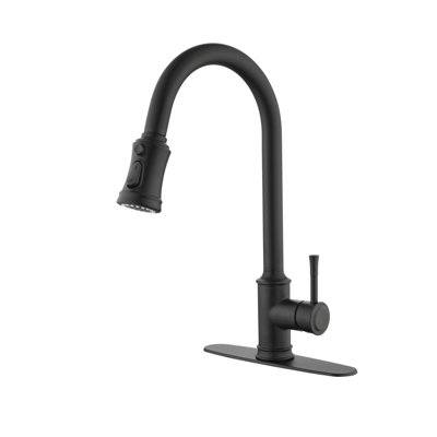 Pull Down Single Handle Kitchen Faucet