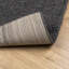 Nikshay Area Rug-2097346772