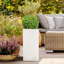 Square Plant Pot-38164551-134406443