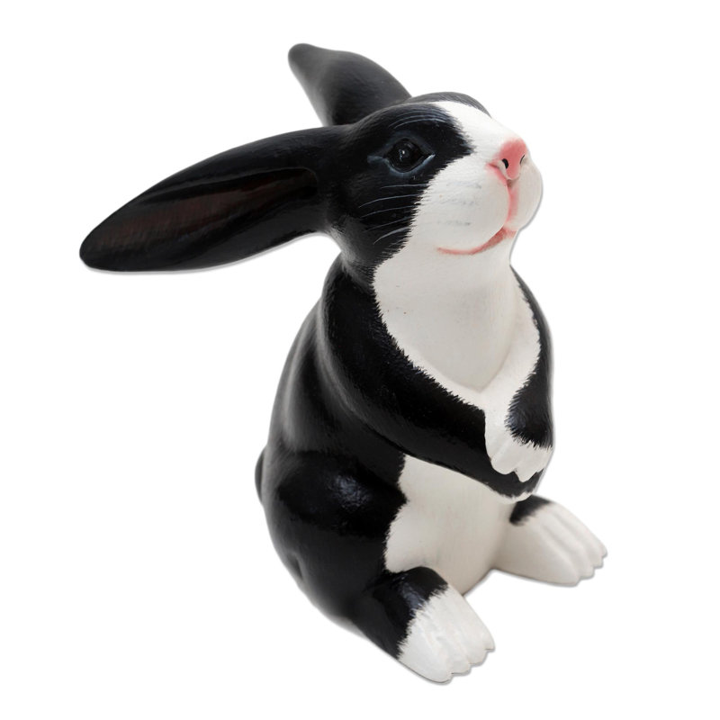 Adorable lapin Brazell, Noir/blanc