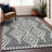 Malek Indoor/Outdoor Area Rug with Non-Slip Backing-43952346