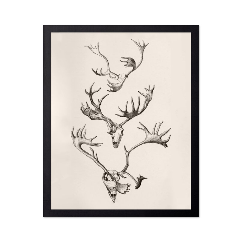 Crâne et bois, Unframed, Poster, 08"H x 10"W